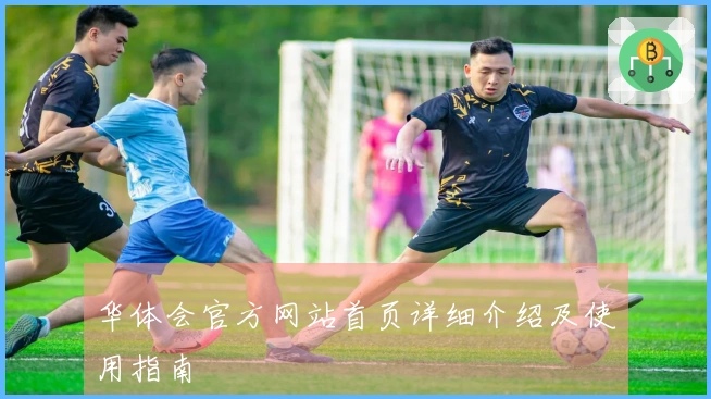 华体会官方网站首页详细介绍及使用指南