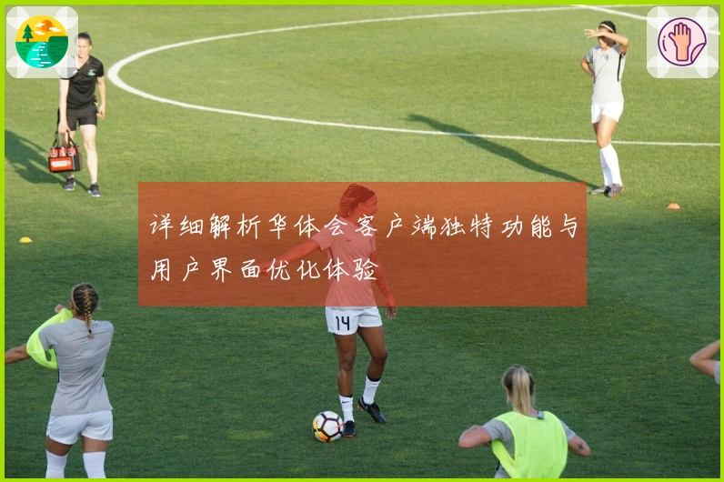 详细解析华体会客户端独特功能与用户界面优化体验