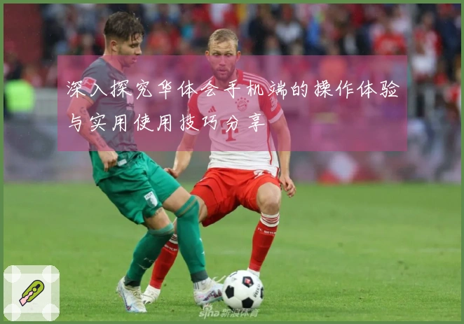 深入探究华体会手机端的操作体验与实用使用技巧分享